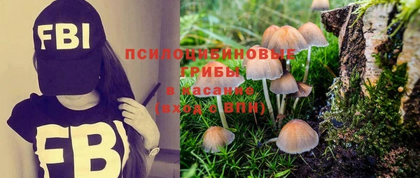 прущая мука Каменногорск