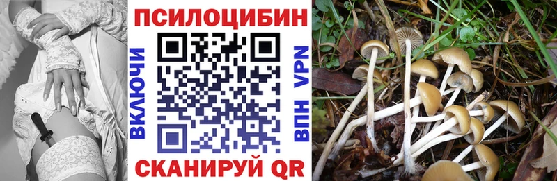 закладка  Кириллов  маркетплейс какой сайт  Псилоцибиновые грибы прущие грибы 